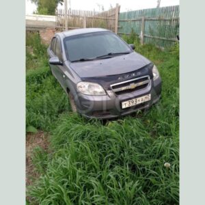 Chevrolet Aveo, 2010 год